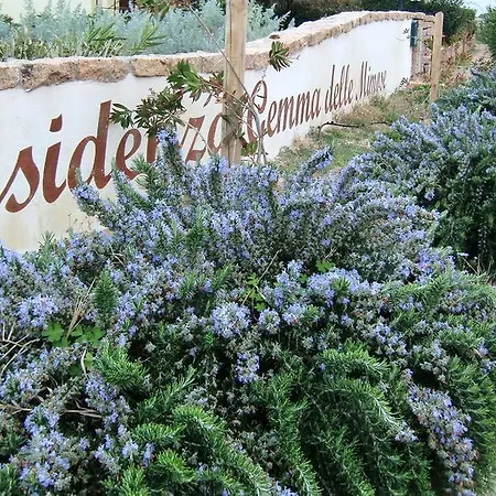 아파트 Sea House Sardinia - Casa Smeraldo 바데시